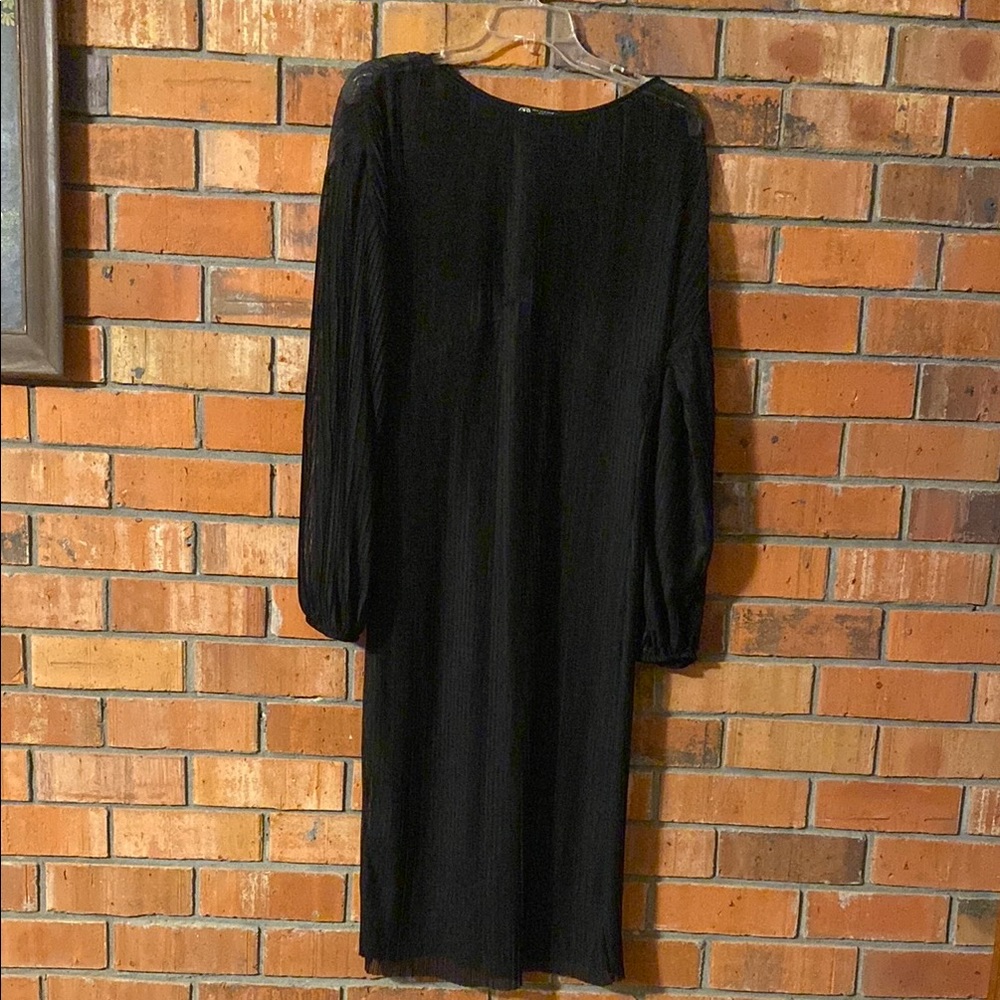 Zara Elegant Black Sheer Long Sleeve Dress